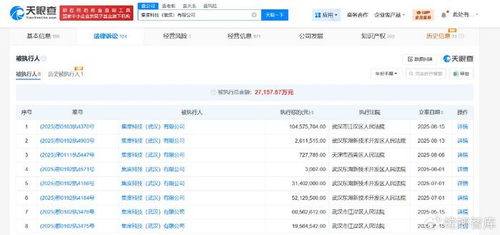 集度科技武漢公司被執(zhí)行1.04億，互聯(lián)網(wǎng)信息服務(wù)行業(yè)風險警鐘長鳴
